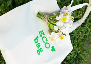 Eco bag on green grass, outdoors